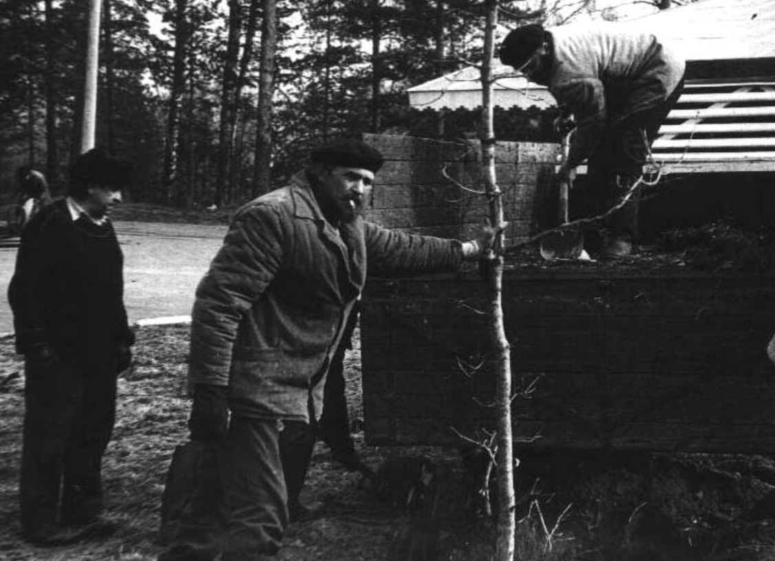 Surikov plants a tree. For the 100th anniversary of the Academic Dacha. 1984